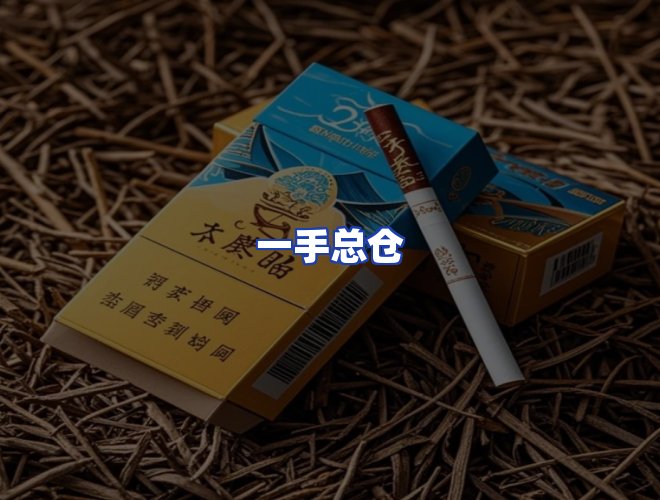 专业团队